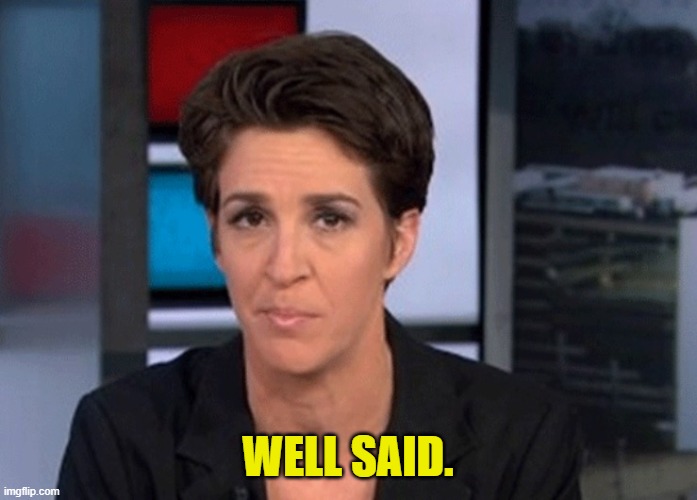 Rachel Maddow  | WELL SAID. | image tagged in rachel maddow | made w/ Imgflip meme maker