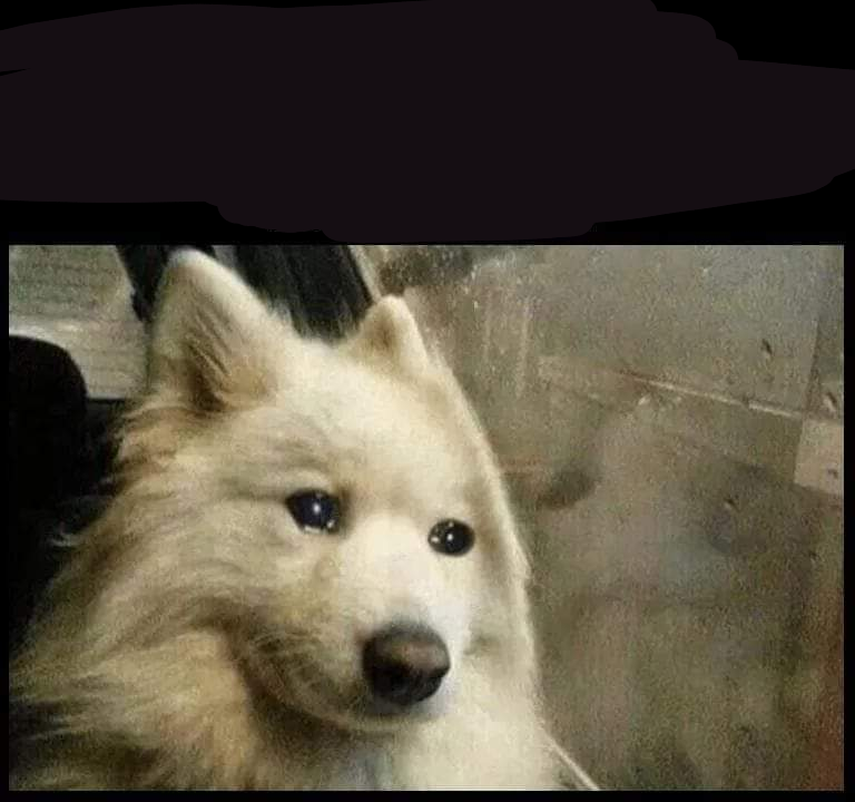 Sad dog Blank Meme Template