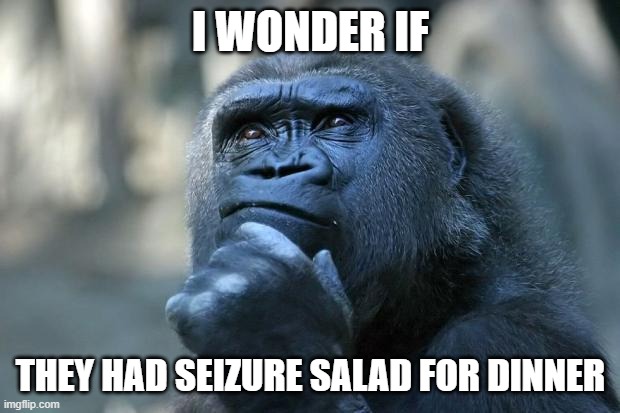 Deep Thoughts | I WONDER IF THEY HAD SEIZURE SALAD FOR DINNER | image tagged in deep thoughts | made w/ Imgflip meme maker