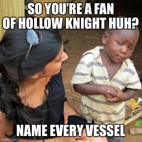 Do it. All of them | SO YOU’RE A FAN OF HOLLOW KNIGHT HUH? NAME EVERY VESSEL | image tagged in so youre telling me | made w/ Imgflip meme maker