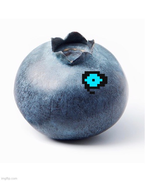 Blueberry | image tagged in blueberry | made w/ Imgflip meme maker
