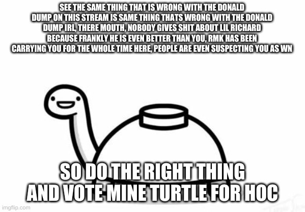 yes | SEE THE SAME THING THAT IS WRONG WITH THE DONALD DUMP ON THIS STREAM IS SAME THING THATS WRONG WITH THE DONALD DUMP IRL, THERE MOUTH, NOBODY GIVES SHIT ABOUT LIL RICHARD BECAUSE FRANKLY HE IS EVEN BETTER THAN YOU, RMK HAS BEEN CARRYING YOU FOR THE WHOLE TIME HERE, PEOPLE ARE EVEN SUSPECTING YOU AS WN; SO DO THE RIGHT THING AND VOTE MINE TURTLE FOR HOC | image tagged in mine turtle | made w/ Imgflip meme maker