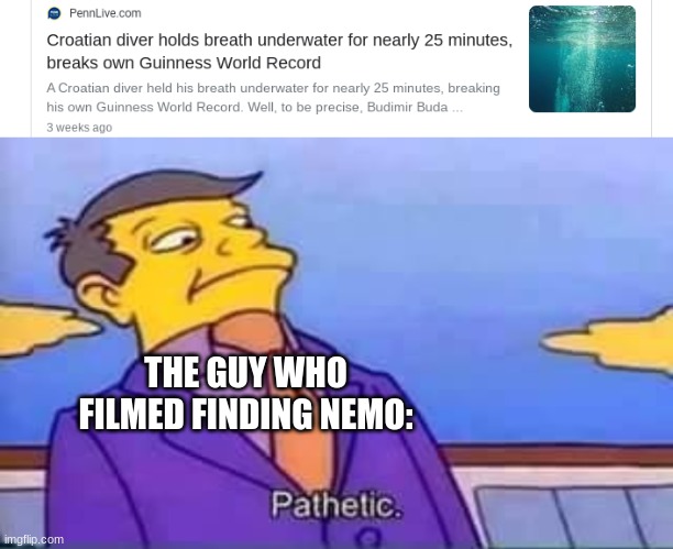 THE GUY WHO FILMED FINDING NEMO: | image tagged in skinner pathetic,finding nemo,memes | made w/ Imgflip meme maker