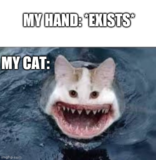 Munch | MY HAND: *EXISTS*; MY CAT: | image tagged in nom,cat,cark | made w/ Imgflip meme maker