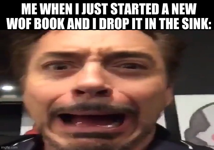 P.S. The sink is full of water | ME WHEN I JUST STARTED A NEW WOF BOOK AND I DROP IT IN THE SINK: | image tagged in funny,wings of fire | made w/ Imgflip meme maker