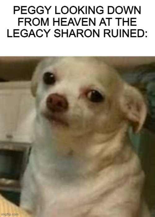 you done messed up sharon | PEGGY LOOKING DOWN FROM HEAVEN AT THE LEGACY SHARON RUINED: | image tagged in marvel,funny,peggy carter,agents,fatws,captain america | made w/ Imgflip meme maker