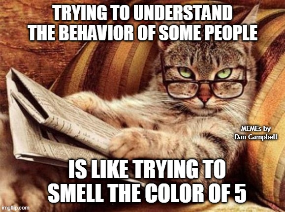 Philosophy cat | TRYING TO UNDERSTAND THE BEHAVIOR OF SOME PEOPLE; MEMEs by Dan Campbell; IS LIKE TRYING TO SMELL THE COLOR OF 5 | image tagged in philosophy cat | made w/ Imgflip meme maker