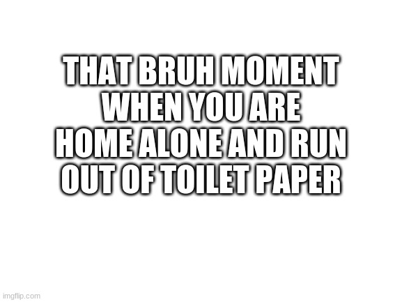 Bruh | THAT BRUH MOMENT WHEN YOU ARE HOME ALONE AND RUN OUT OF TOILET PAPER | image tagged in blank white template | made w/ Imgflip meme maker