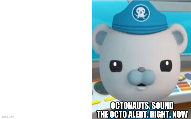 Octo Alert | OCTONAUTS, SOUND THE OCTO ALERT. RIGHT. NOW | image tagged in octo alert | made w/ Imgflip meme maker