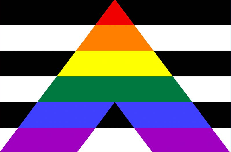 High Quality Straight Ally Flag Blank Meme Template