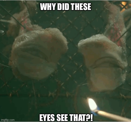 Eyes | WHY DID THESE; EYES SEE THAT?! | image tagged in funny memes | made w/ Imgflip meme maker