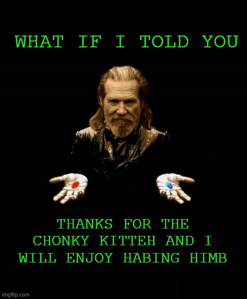 The Dude as Morpheus | WHAT IF I TOLD YOU THANKS FOR THE CHONKY KITTEH AND I WILL ENJOY HABING HIMB | image tagged in the dude as morpheus | made w/ Imgflip meme maker