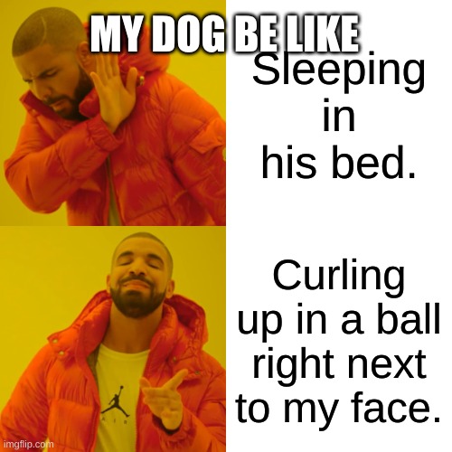 Drake Hotline Bling Meme | MY DOG BE LIKE; Sleeping in his bed. Curling up in a ball right next to my face. | image tagged in memes,drake hotline bling | made w/ Imgflip meme maker