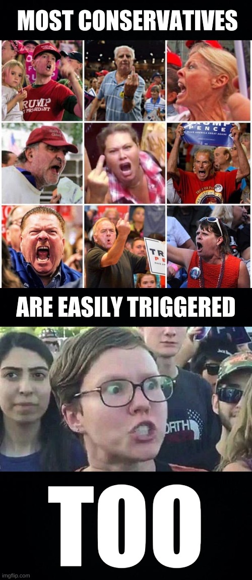 MOST CONSERVATIVES; ARE EASILY TRIGGERED; TOO | image tagged in triggered trump supporters,triggered liberal,conservative hypocrisy,memes,politics,mayo | made w/ Imgflip meme maker