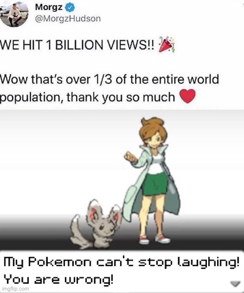 stupidity | image tagged in my pokemon can't stop laughing you are wrong,funny,memes,funny memes,barney will eat all of your delectable biscuits,twitter | made w/ Imgflip meme maker
