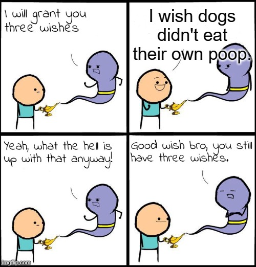 I mean, seriously, what's up with dogs eating their own fecal material anyway? | I wish dogs didn't eat their own poop. | image tagged in 3 wishes | made w/ Imgflip meme maker