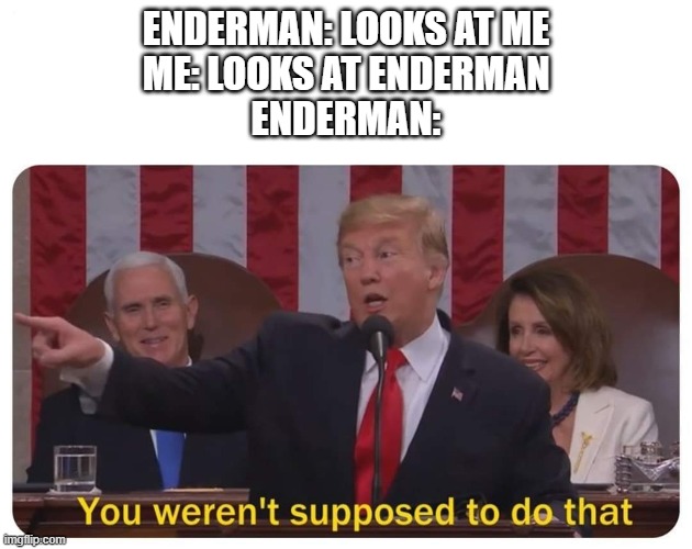 You weren't supposed to do that | ENDERMAN: LOOKS AT ME
ME: LOOKS AT ENDERMAN
ENDERMAN: | image tagged in you weren't supposed to do that | made w/ Imgflip meme maker