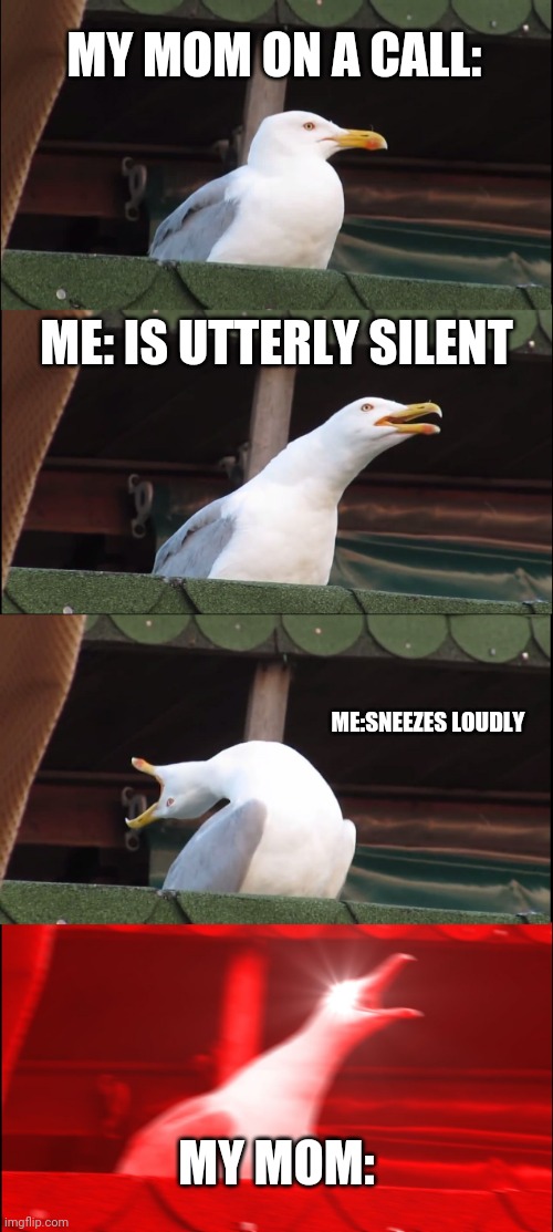 Inhaling Seagull | MY MOM ON A CALL:; ME: IS UTTERLY SILENT; ME:SNEEZES LOUDLY; MY MOM: | image tagged in memes,inhaling seagull | made w/ Imgflip meme maker