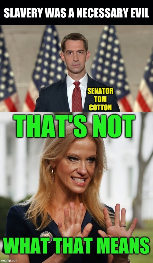 what DOES it mean? | image tagged in kellyanne conway alternative facts,tom cotton,conservative hypocrisy,slavery was a necessary evil,memes,racism | made w/ Imgflip meme maker