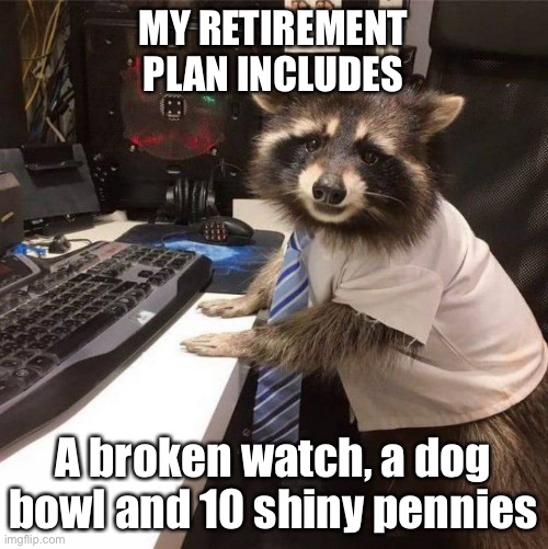 MY RETIREMENT PLAN INCLUDES; A broken watch, a dog bowl and 10 shiny pennies | image tagged in retirement,raccoon | made w/ Imgflip meme maker