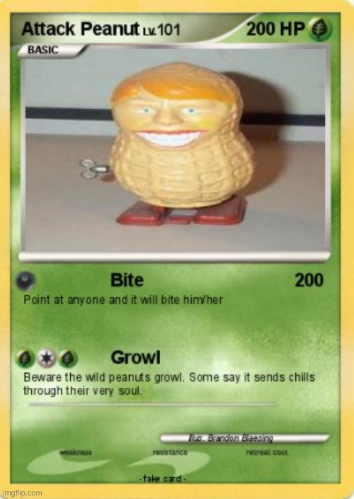 Attack peanut | image tagged in attack peanut | made w/ Imgflip meme maker