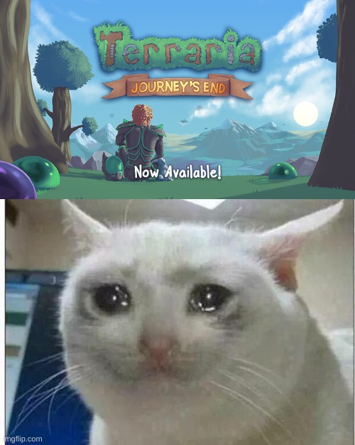 (crys alot) | image tagged in crying cat | made w/ Imgflip meme maker