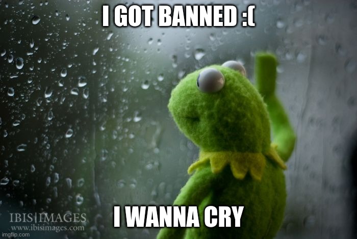 i might even quit imgflip | I GOT BANNED :(; I WANNA CRY | image tagged in kermit window | made w/ Imgflip meme maker