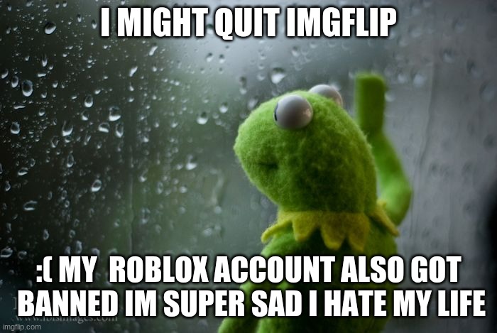 I HATE MY LIFE | I MIGHT QUIT IMGFLIP; :( MY  ROBLOX ACCOUNT ALSO GOT  BANNED IM SUPER SAD I HATE MY LIFE | image tagged in kermit window | made w/ Imgflip meme maker