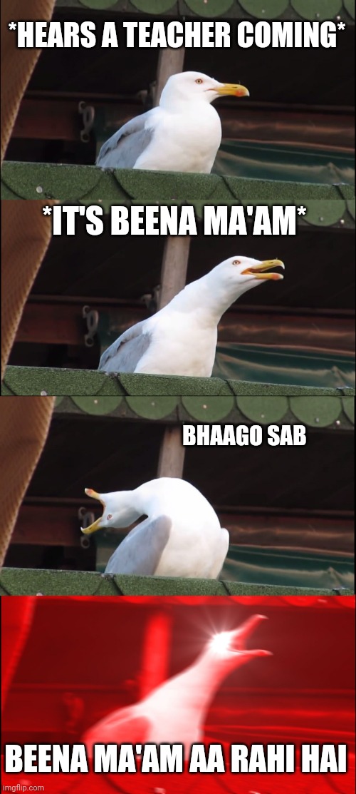 Inhaling Seagull Meme | *HEARS A TEACHER COMING*; *IT'S BEENA MA'AM*; BHAAGO SAB; BEENA MA'AM AA RAHI HAI | image tagged in memes,inhaling seagull | made w/ Imgflip meme maker