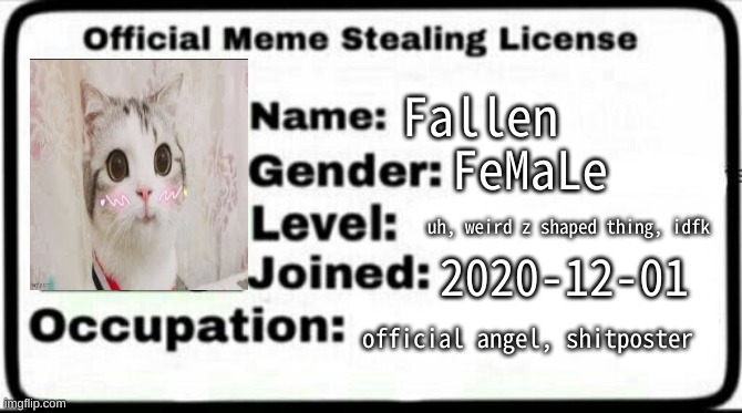 LMAO | Fallen; FeMaLe; uh, weird z shaped thing, idfk; 2020-12-01; official angel, shitposter | image tagged in meme stealing license | made w/ Imgflip meme maker