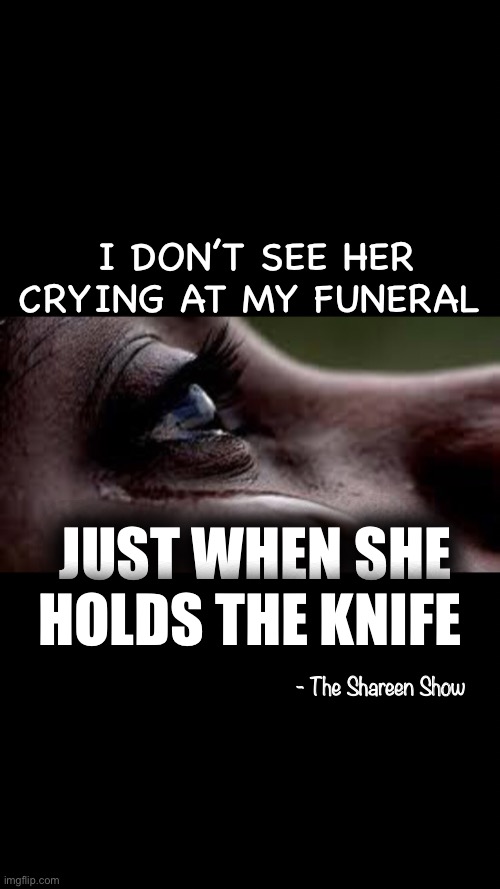 Abuse | I DON’T SEE HER CRYING AT MY FUNERAL; JUST WHEN SHE HOLDS THE KNIFE; - The Shareen Show | image tagged in child abuse,abuse,domestic abuse,violence,books,memes | made w/ Imgflip meme maker