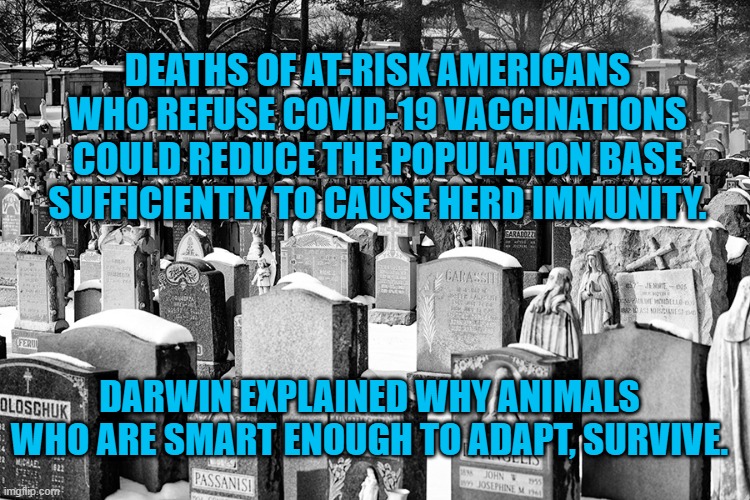 Science Is Basic.  Stupid Is Basicer. | DEATHS OF AT-RISK AMERICANS WHO REFUSE COVID-19 VACCINATIONS COULD REDUCE THE POPULATION BASE SUFFICIENTLY TO CAUSE HERD IMMUNITY. DARWIN EXPLAINED WHY ANIMALS WHO ARE SMART ENOUGH TO ADAPT, SURVIVE. | image tagged in politics | made w/ Imgflip meme maker