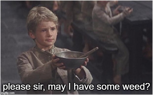 My children are hungry... I need illegal drugs. | please sir, may I have some weed? | image tagged in oliver twist please sir | made w/ Imgflip meme maker