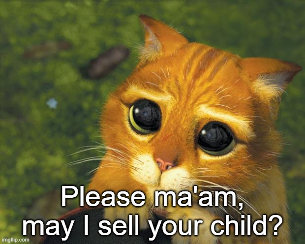 My race is starving, please? | Please ma'am, may I sell your child? | image tagged in puss in boots | made w/ Imgflip meme maker