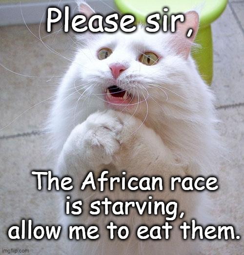 . | Please sir, The African race is starving, allow me to eat them. | image tagged in begging cat | made w/ Imgflip meme maker