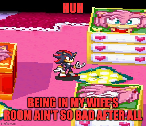 Shadow finds out Amy's room ain't bad. | HUH; BEING IN MY WIFE'S ROOM AIN'T SO BAD AFTER ALL | image tagged in shadow the hedgehog,amy rose,sonic battle,shadamy | made w/ Imgflip meme maker