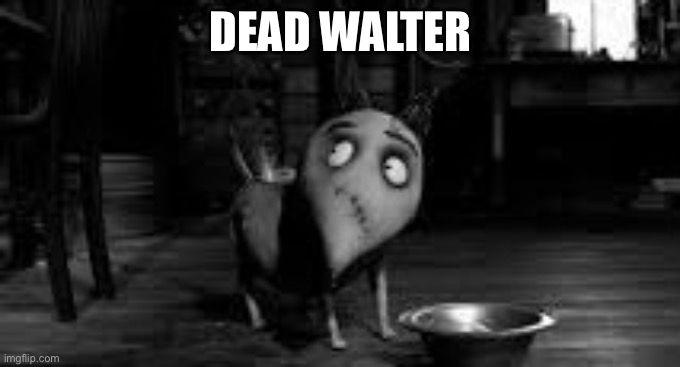 DEAD WALTER | made w/ Imgflip meme maker