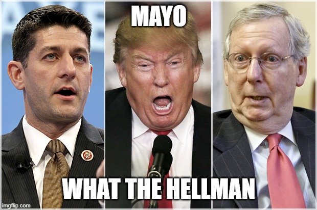 Republicans1234 | MAYO WHAT THE HELLMAN | image tagged in republicans1234 | made w/ Imgflip meme maker