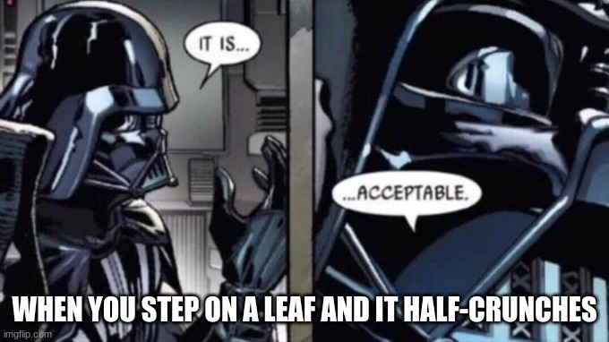 what do you guys think |  WHEN YOU STEP ON A LEAF AND IT HALF-CRUNCHES | image tagged in it is acceptable | made w/ Imgflip meme maker