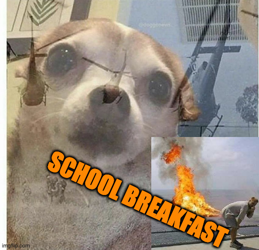 PTSD Chihuahua | SCHOOL BREAKFAST | image tagged in ptsd chihuahua | made w/ Imgflip meme maker