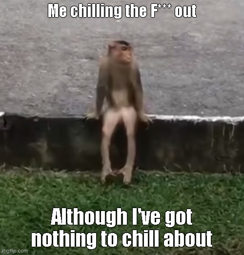 Chillin' Monkey | Me chilling the F*** out; Although I've got nothing to chill about | image tagged in chillin,monkey,monkeys,monkey looking away | made w/ Imgflip meme maker