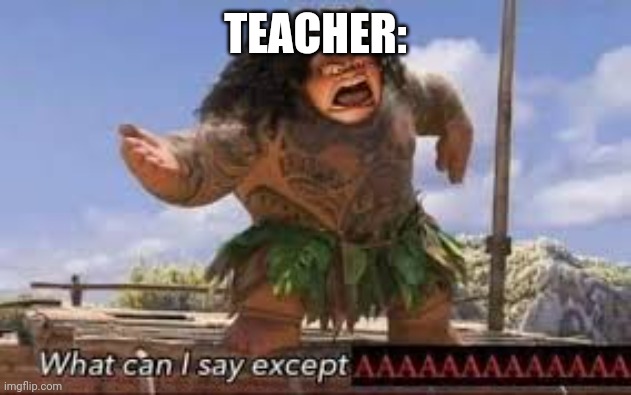 What can i say except aaaaaaaaaaa | TEACHER: | image tagged in what can i say except aaaaaaaaaaa | made w/ Imgflip meme maker
