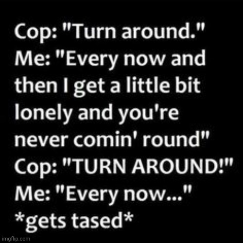 Lol | image tagged in cops,turn around,bonnie tyler,80s music,funny | made w/ Imgflip meme maker