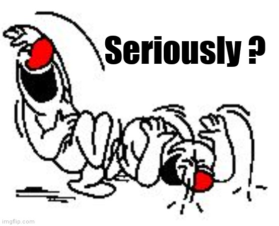 LOL Hysterically | Seriously ? | image tagged in lol hysterically | made w/ Imgflip meme maker