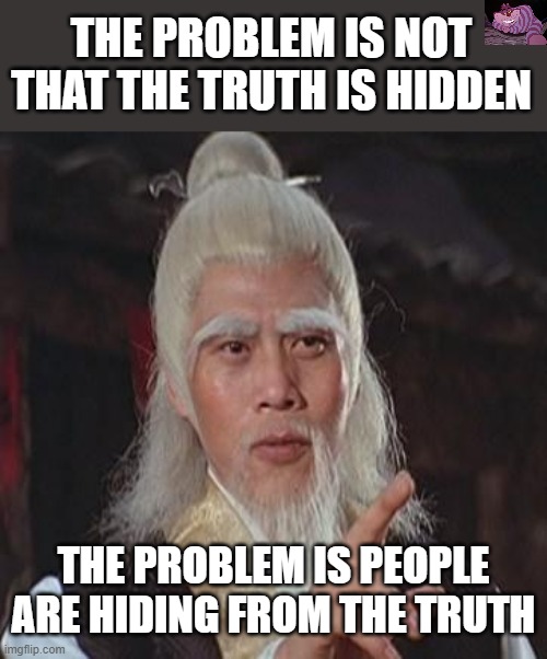 Do not believe everything you are told without doing your own research. | THE PROBLEM IS NOT THAT THE TRUTH IS HIDDEN; THE PROBLEM IS PEOPLE ARE HIDING FROM THE TRUTH | image tagged in wise kung fu master | made w/ Imgflip meme maker