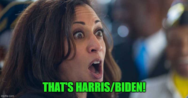 kamala harriss | THAT'S HARRIS/BIDEN! | image tagged in kamala harriss | made w/ Imgflip meme maker