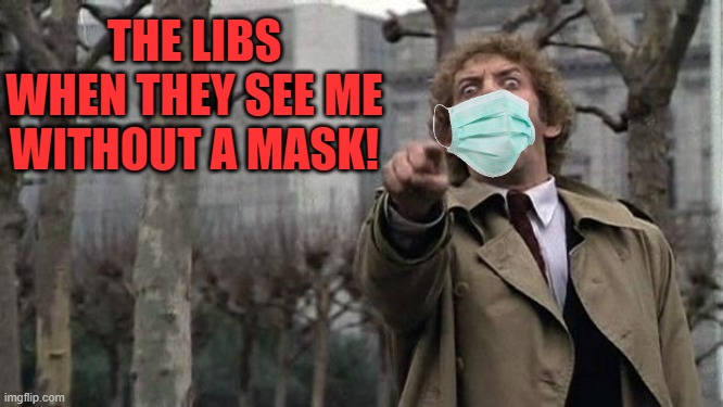 invasion of the body snatchers | THE LIBS WHEN THEY SEE ME WITHOUT A MASK! | image tagged in invasion of the body snatchers | made w/ Imgflip meme maker