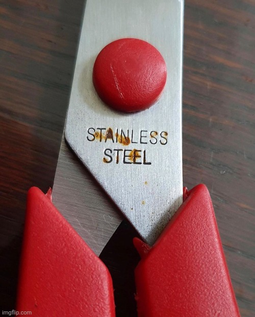 Totally stainless | made w/ Imgflip meme maker