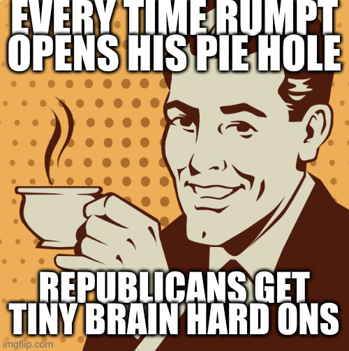 heard at work ha ha | EVERY TIME RUMPT OPENS HIS PIE HOLE; REPUBLICANS GET TINY BRAIN HARD ONS | image tagged in mug approval | made w/ Imgflip meme maker