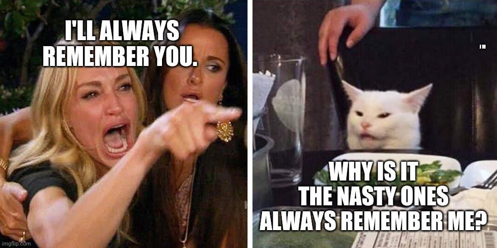 Smudge the cat |  I'LL ALWAYS REMEMBER YOU. J M; WHY IS IT THE NASTY ONES ALWAYS REMEMBER ME? | image tagged in smudge the cat | made w/ Imgflip meme maker